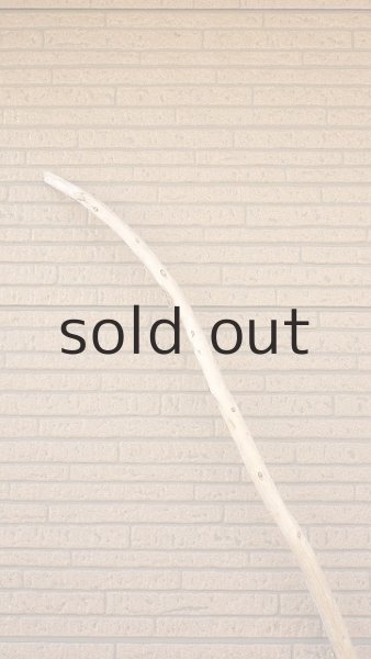 画像5: 棒流木・長尺 (5)