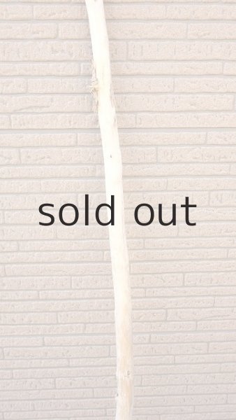 画像3: 棒流木・長尺 (3)