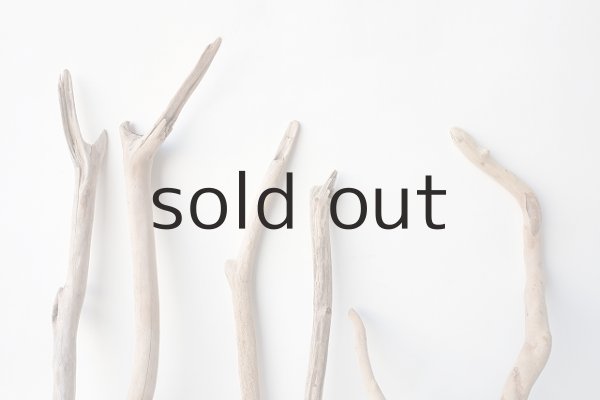 画像3: 小枝流木セット (3)