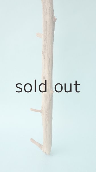 画像2: 枝流木 (2)