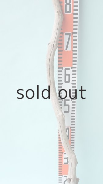 画像7: 枝流木 (7)