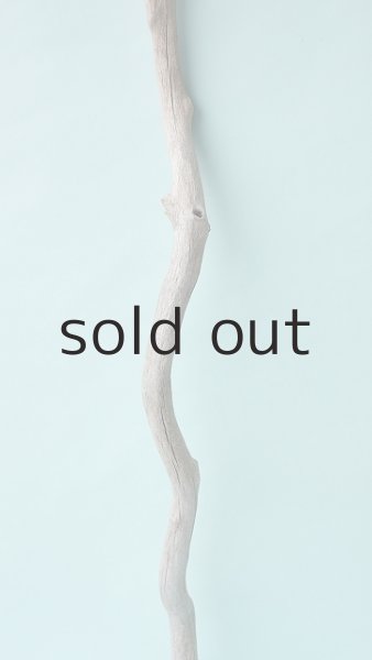 画像3: 枝流木 (3)