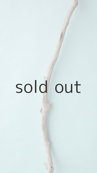 画像4: 枝流木 (4)