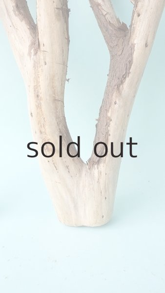 画像6: 枝流木 (6)