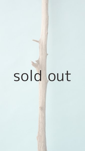 画像3: 枝流木 (3)