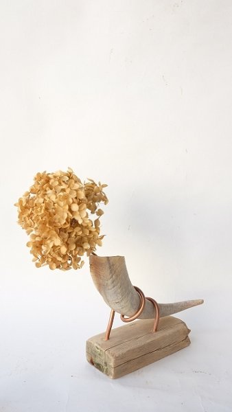 画像2: ドライ・エアープランツ置き by GRAY and GREEN (2)