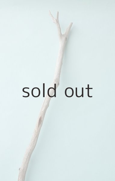 画像5: 枝流木 (5)