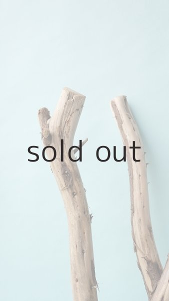 画像5: 枝流木 (5)