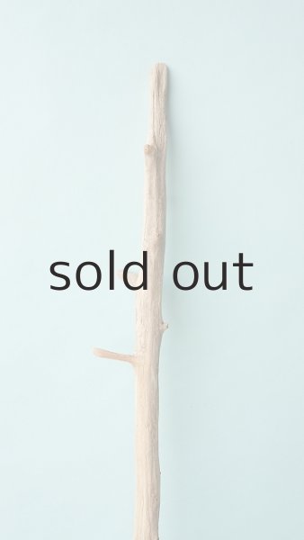 画像4: 枝流木 (4)