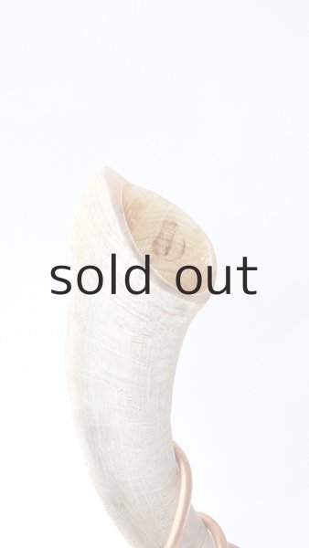 画像2: ドライ・エアープランツ置き by GRAY and GREEN (2)