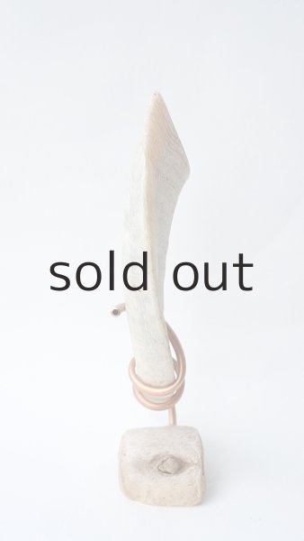 画像3: ドライ・エアープランツ置き by GRAY and GREEN (3)