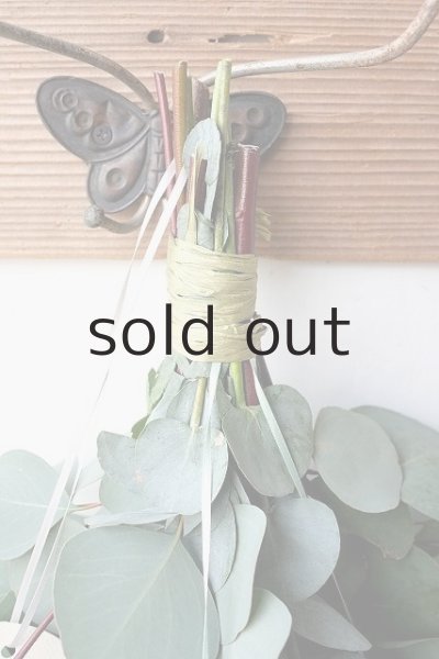 画像2: Dry plants for decor ユーカリ2種シンプルスワッグ (2)