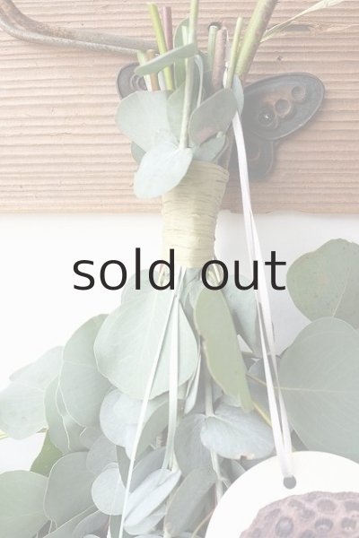 画像2: Dry plants for decor ユーカリ2種シンプルスワッグ (2)