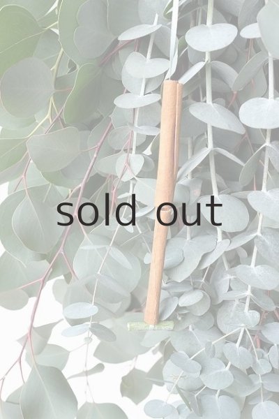 画像3: Dry plants for decor ユーカリ2種シンプルスワッグ (3)