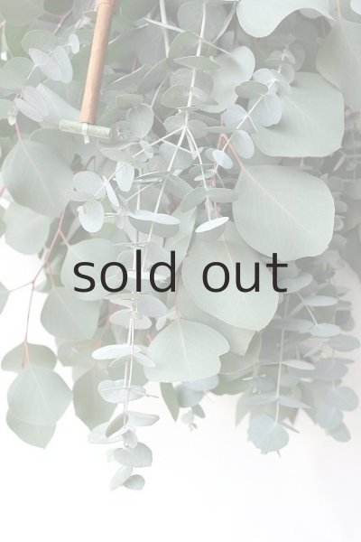 画像5: Dry plants for decor ユーカリ2種シンプルスワッグ (5)