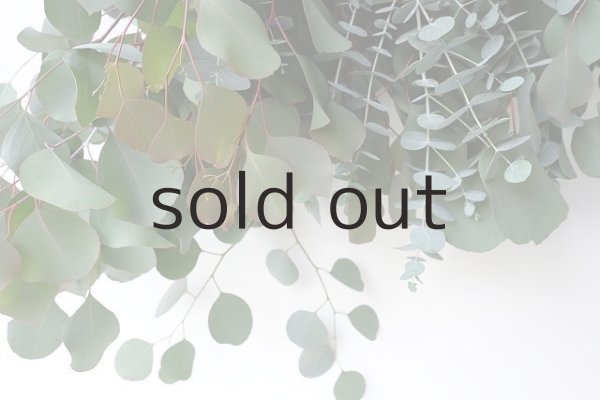 画像3: Dry plants for decor ユーカリ2種シンプルスワッグ (3)