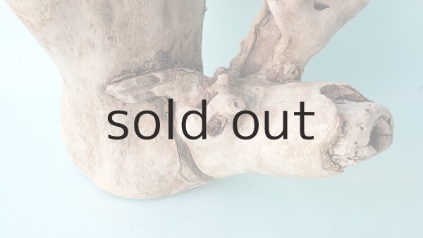 画像3: 変形流木 (3)