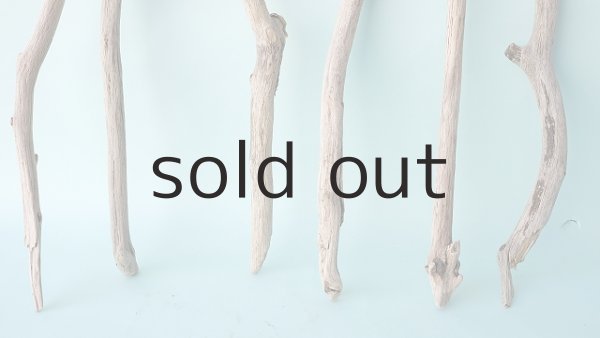 画像2: 小枝流木セット (2)