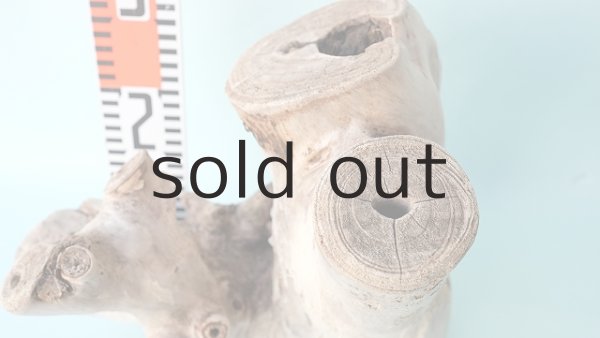 画像6: 変形流木 (6)