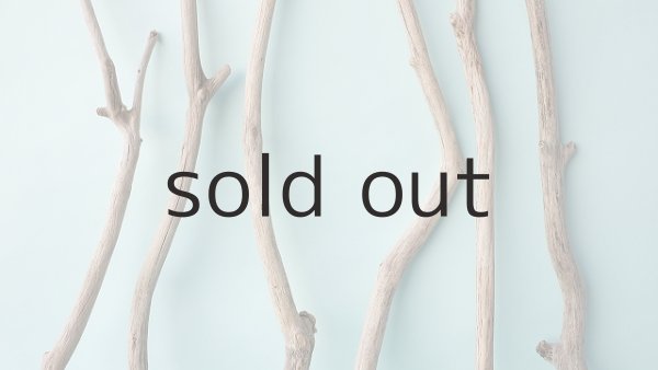 画像3: 小枝流木セット (3)