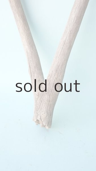 画像2: 小枝流木 (2)