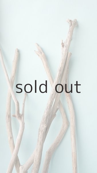 画像6: 小枝流木セット (6)