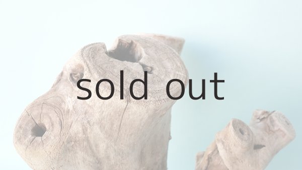 画像4: 変形流木 (4)