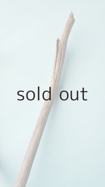 画像3: 小枝流木 (3)