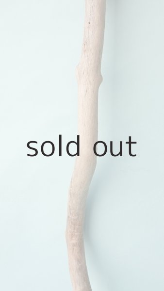 画像3: 幹流木 (3)