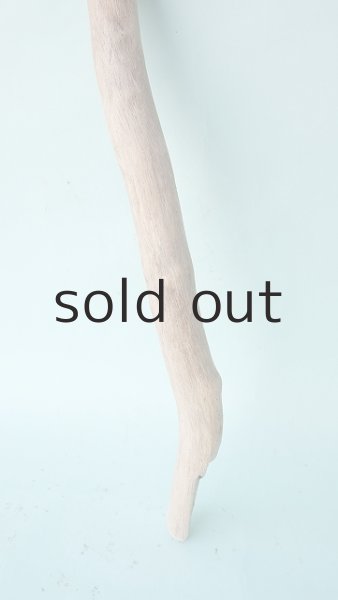 画像2: 幹流木 (2)