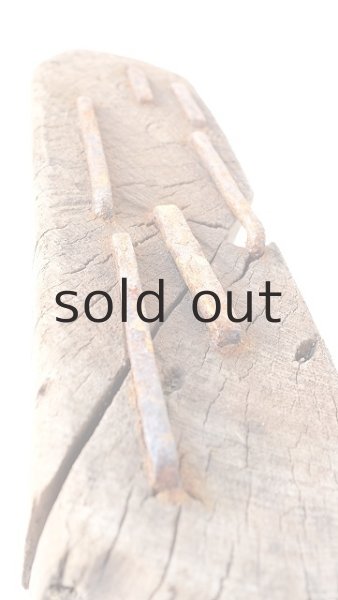 画像6: 変形流木 (6)