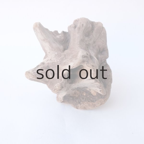 画像3: 変形流木 (3)