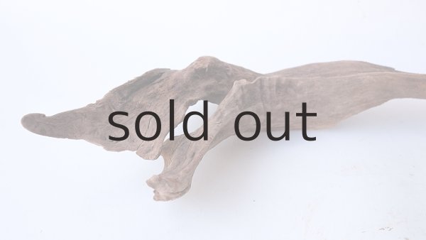 画像4: 変形流木 (4)