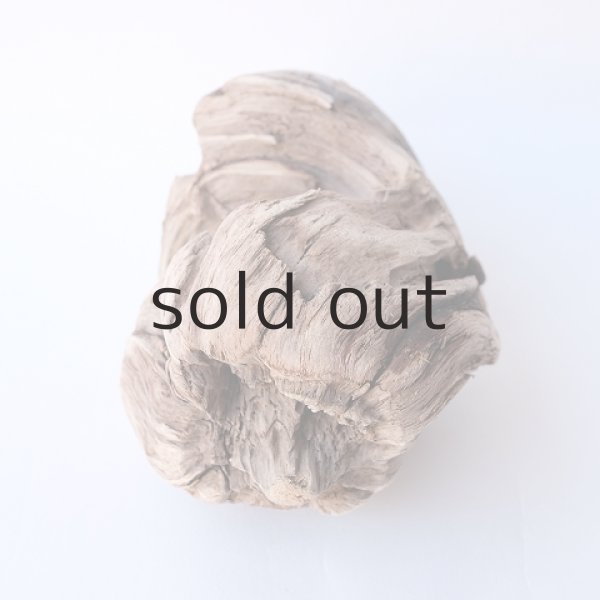 画像3: 変形流木 (3)