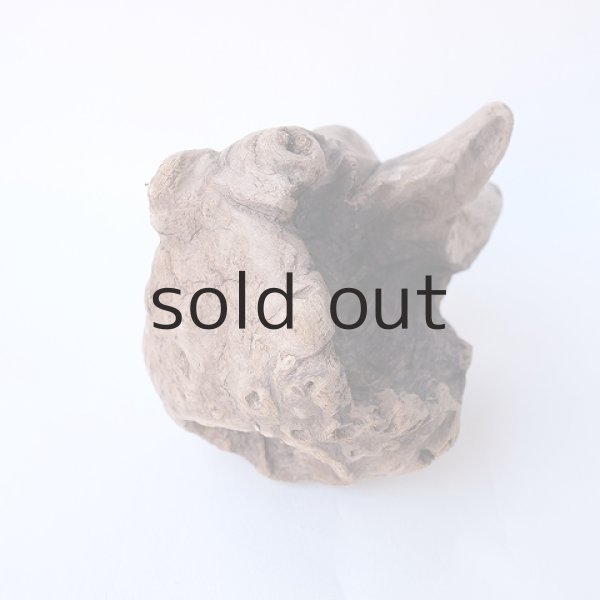 画像2: 変形流木 (2)