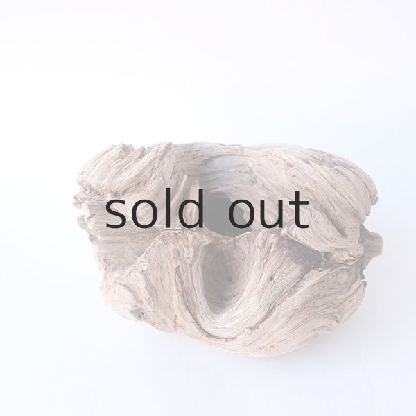 画像2: 変形流木 (2)