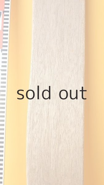 画像6: 板流木 (6)