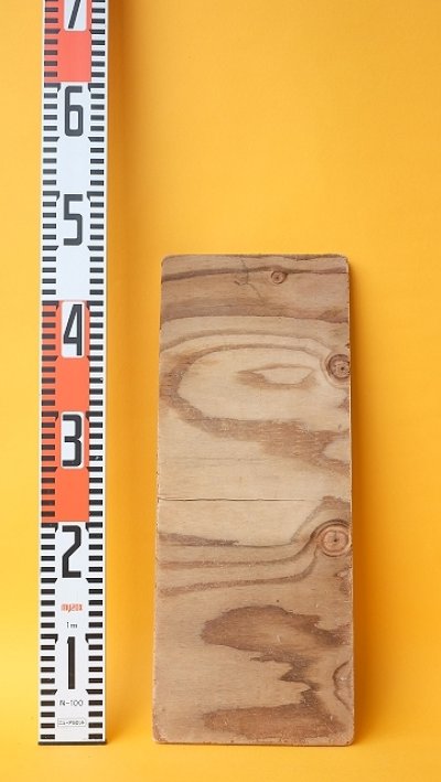 画像3: 板流木（合板）