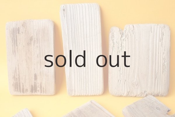 画像2: 板流木セット (2)