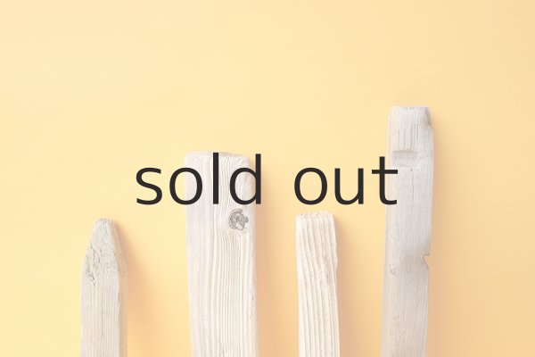 画像3: 板流木セット (3)