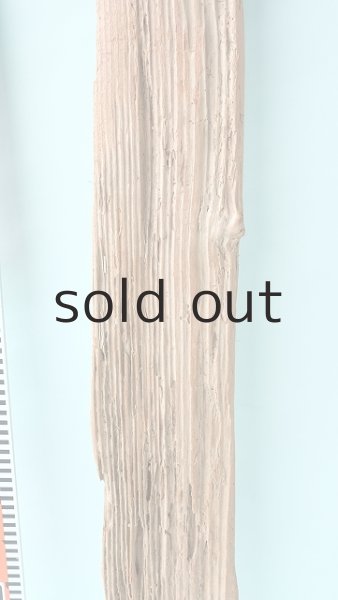 画像7: 板流木 (7)