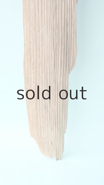 画像2: 板流木 (2)