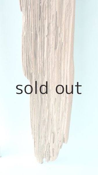 画像6: 板流木 (6)