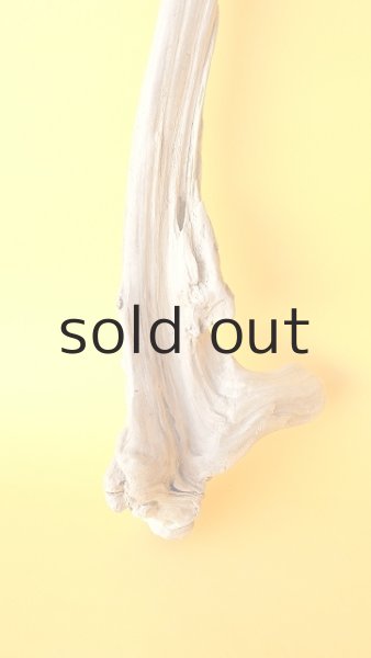 画像2: 変形流木 (2)