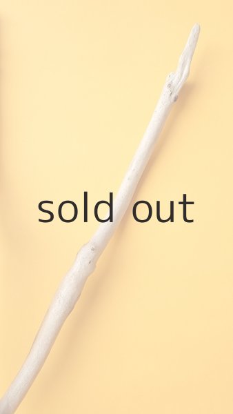 画像5: 枝流木 (5)