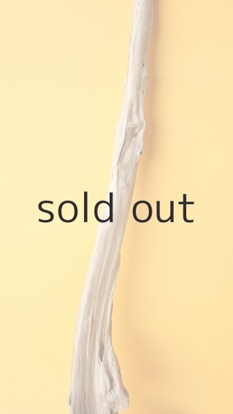 画像3: 変形流木 (3)