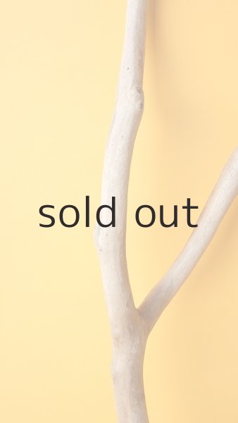 画像3: 枝流木 (3)