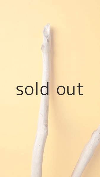 画像4: 枝流木 (4)