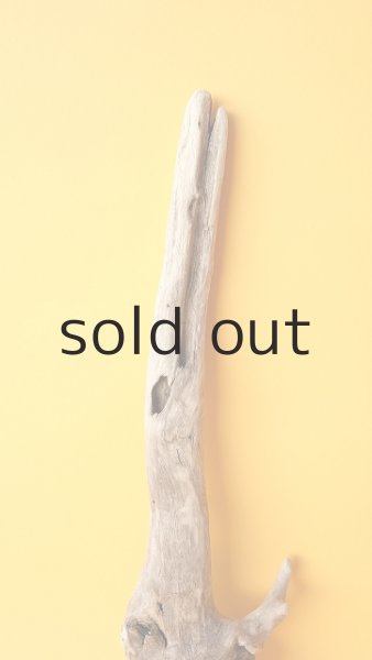 画像3: 変形流木 (3)