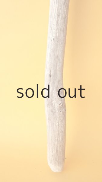 画像2: 枝流木 (2)